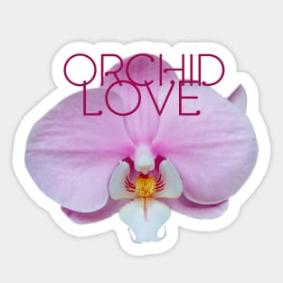 Pink Orchid flower with text Sticker